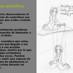campanyacontraautolesion5